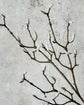 Artificial branch, HDMagnolia, Hvid