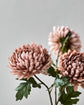 Artificial flower, HDChrysanthemum, Støvet rose