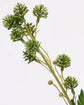 Artificial branch, HDSedum, Grøn