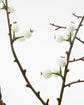 Artificial branch, HDDecor, Weiß