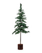 Weihnachtsbaum, HDPine, Grün
