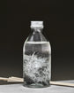 Diffuser, Lilac Muse, 240 ml
