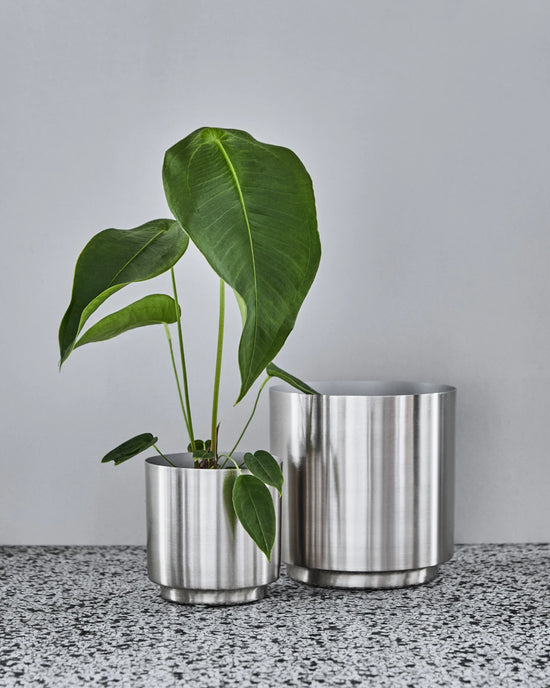 Urtepotte, HDBailey, Silver finish