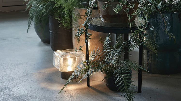 Green plants and a table lamp with square glass shade